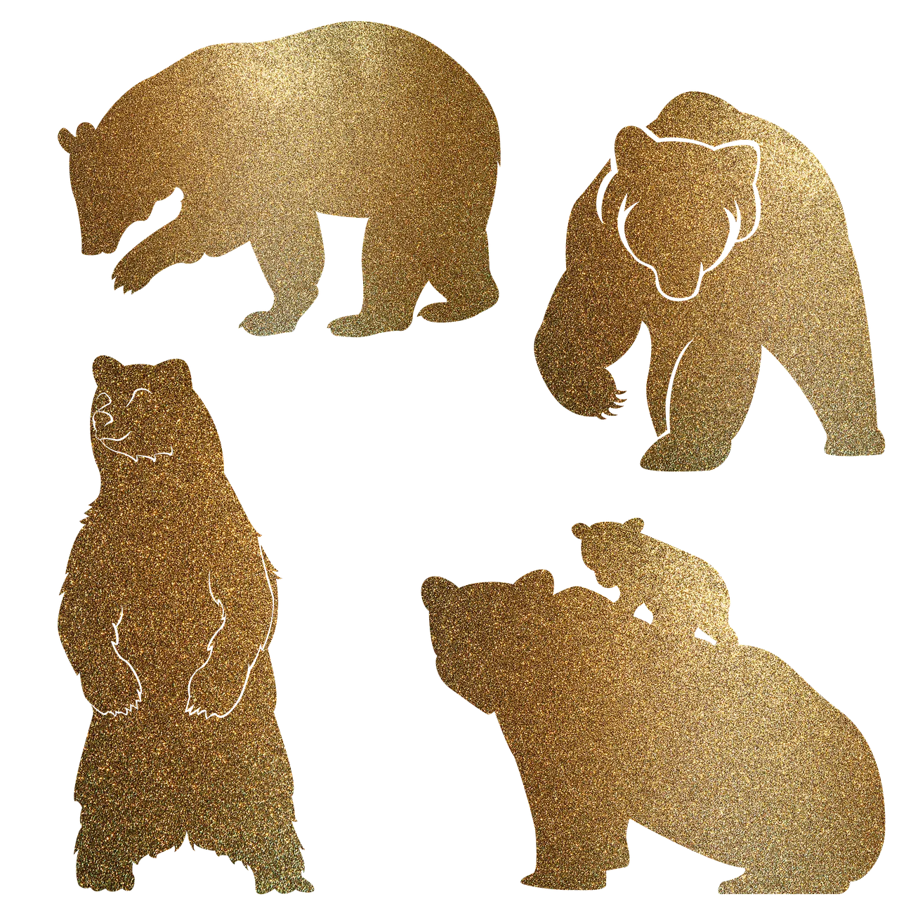 bear icon, simple vector design, free transparent png